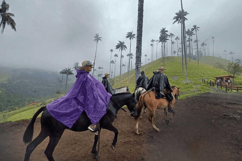 Horseback riding