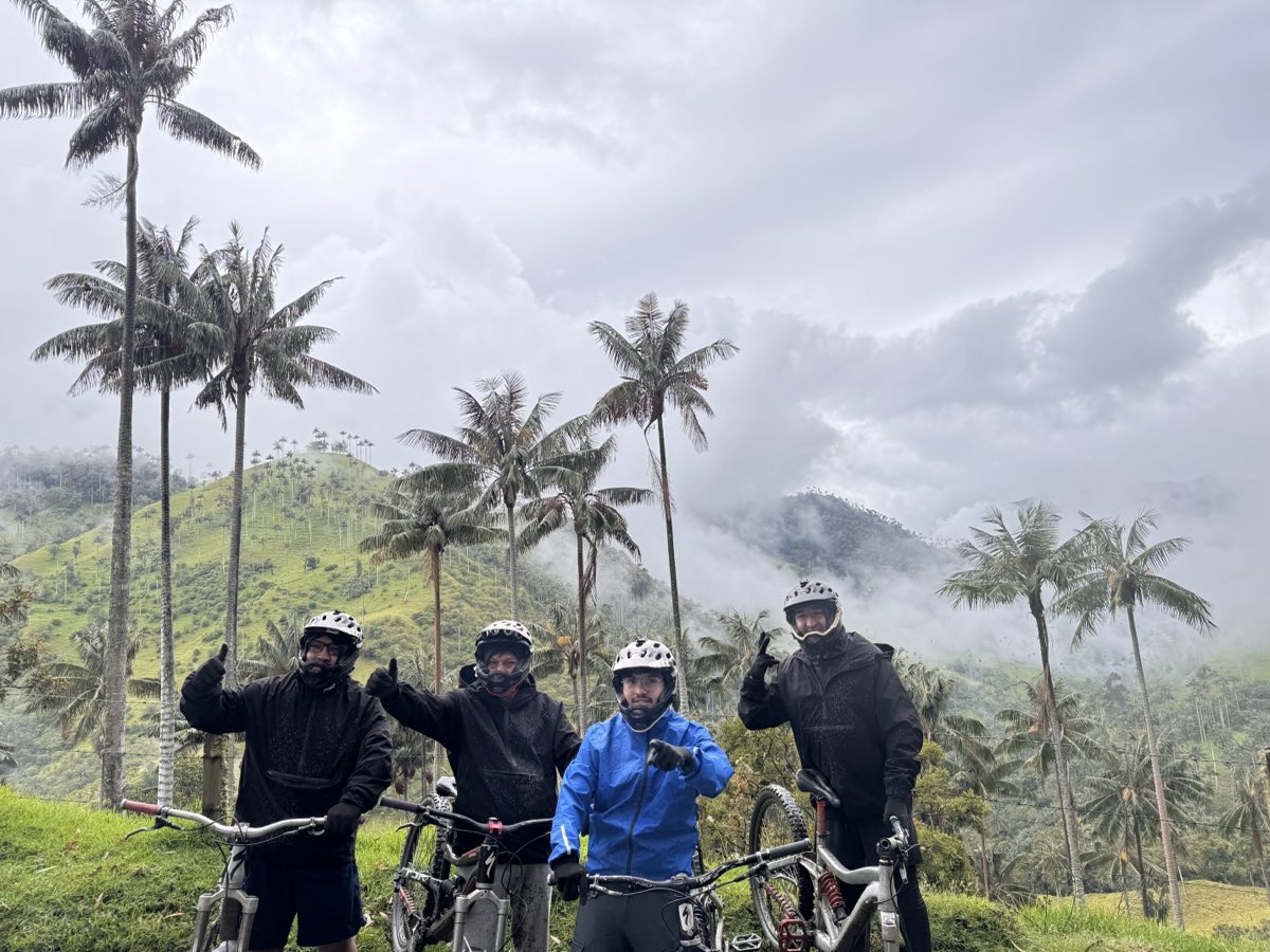 Grupo de ciclistas entre bosques nublados de palmas de cera
