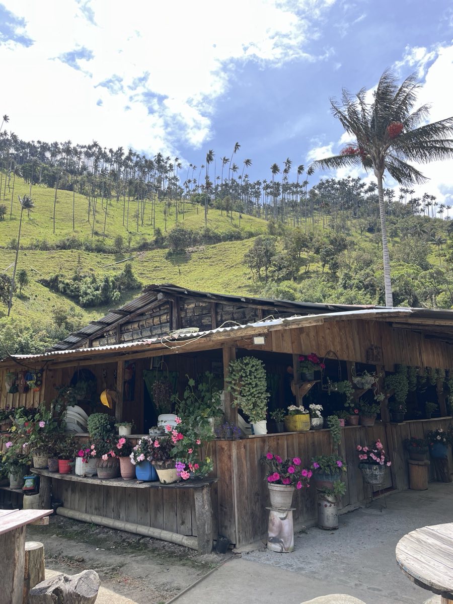 Casa campesina de madera decorada con flores, con una ladera de palmas de cera detrás