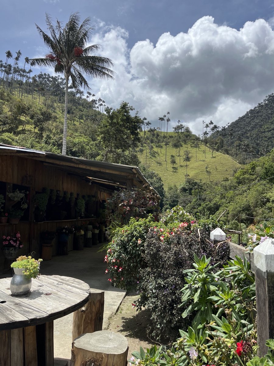The wooden terrace of the farm where we stopped for onces, looking out over the mountains